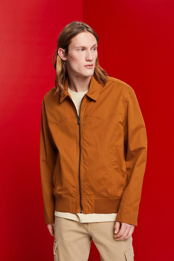 Bomber jacket with turn-down collar, BROWN, detail image number 0