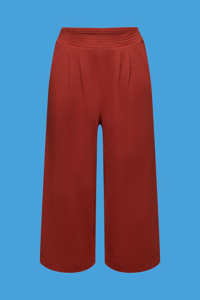 Cropped jersey trousers, 100% cotton, TERRACOTTA, detail image number 7